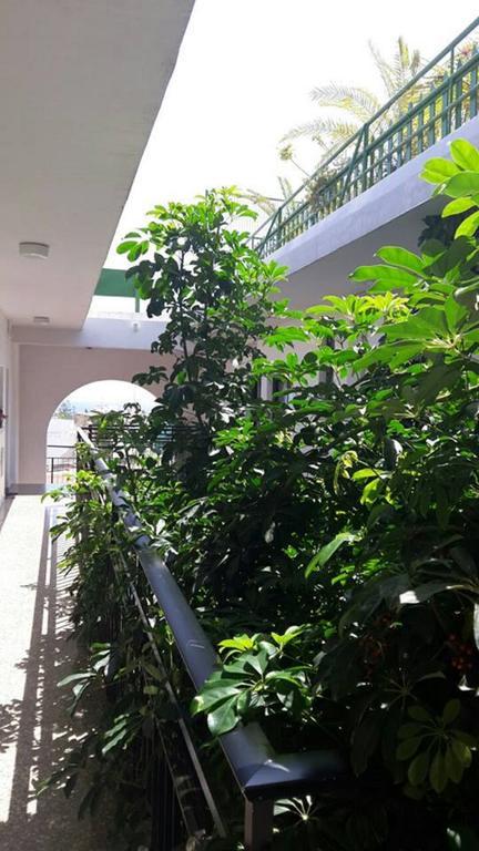 Myriama Apartments Ayia Napa Bagian luar foto