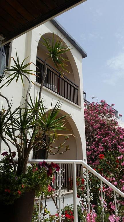 Myriama Apartments Ayia Napa Bagian luar foto