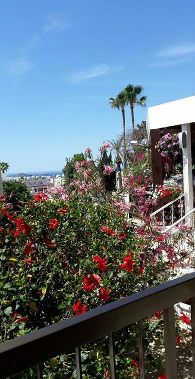Myriama Apartments Ayia Napa Bagian luar foto