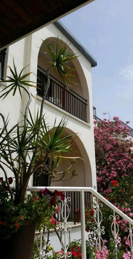 Myriama Apartments Ayia Napa Bagian luar foto